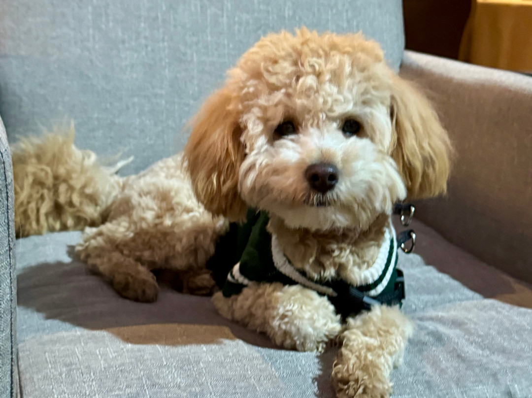 会议城酒店主图