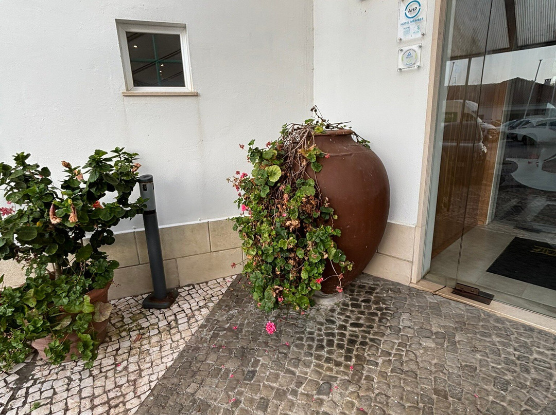 Hotel Dom Vasco主图