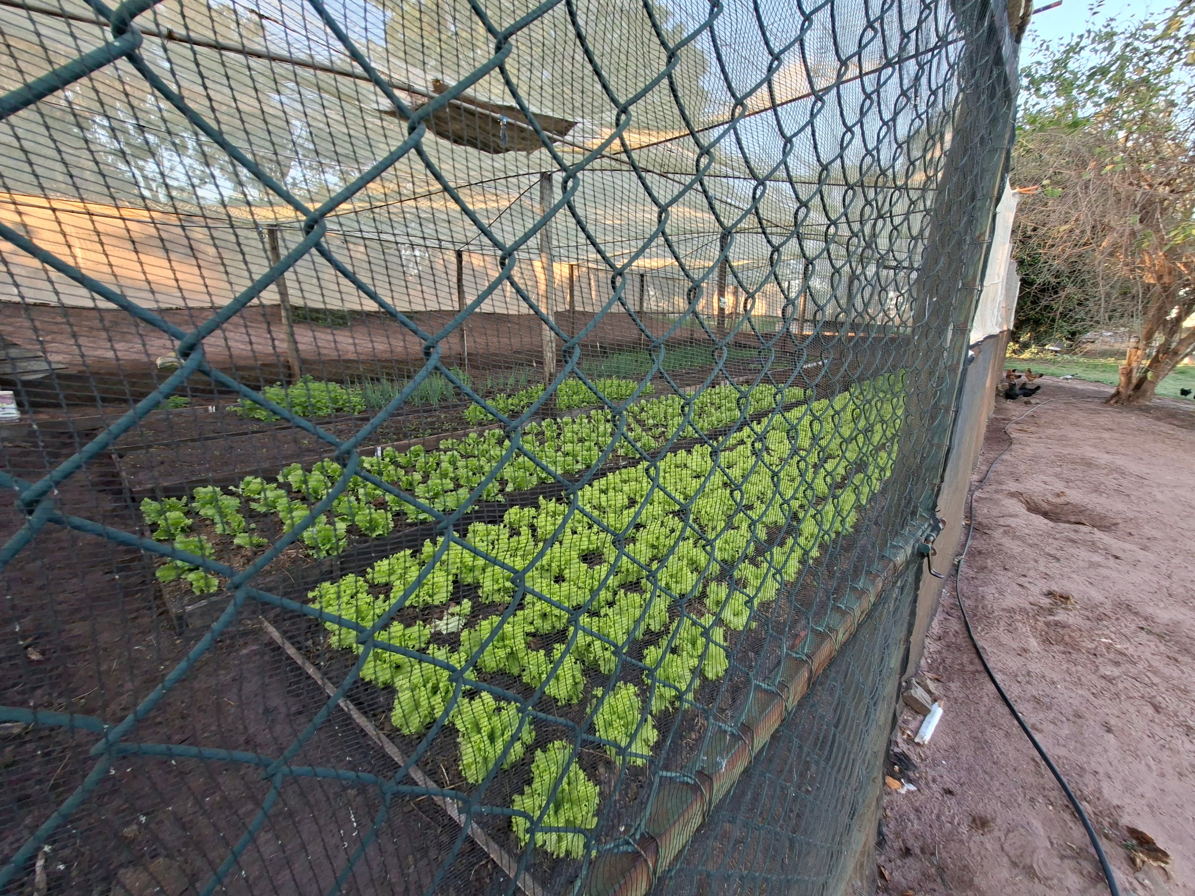 Brotas Eco Hotel Fazenda-浴室