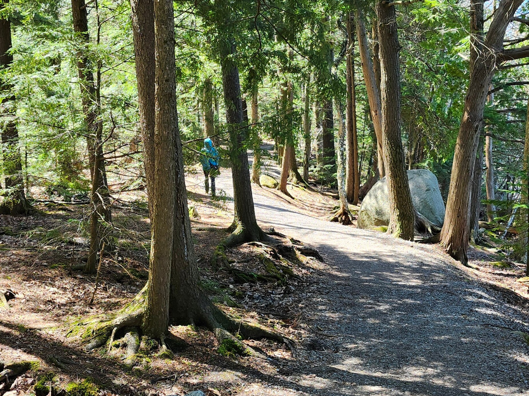 Lake St. Augustin Waterfront Park-St Augustin de Desmaures必去景点