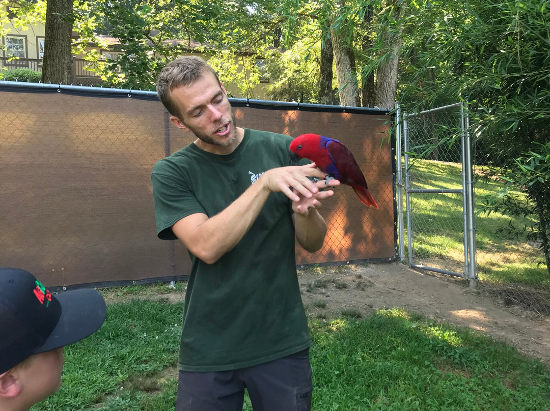 Creature Features Tennessee-Athens必去景点