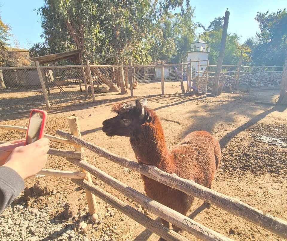 Buin Zoo-Buin必去景点