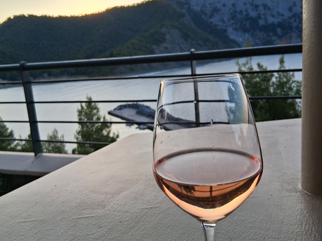 Xenia Residence主图