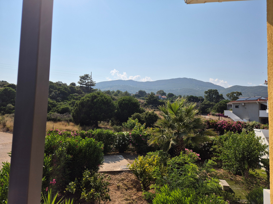 Paspalis Hotel主图