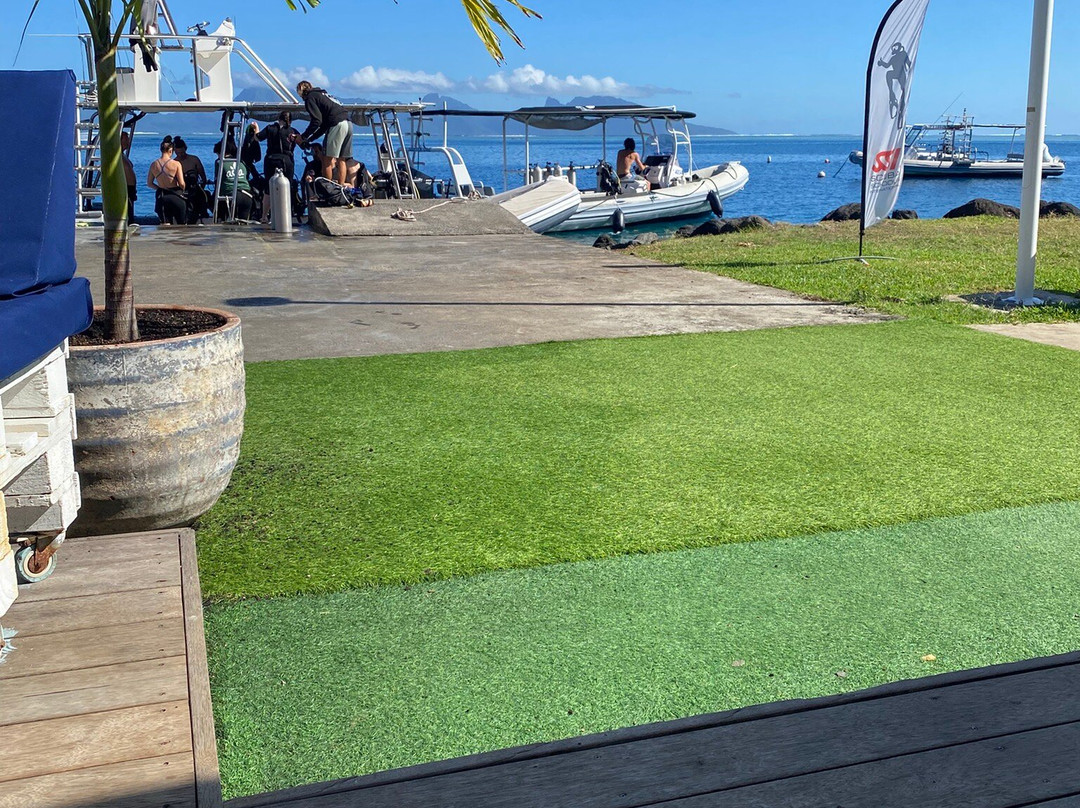 Dive and Sea Tahiti - Base nautique de Puna'auia-普纳奥亚必去景点