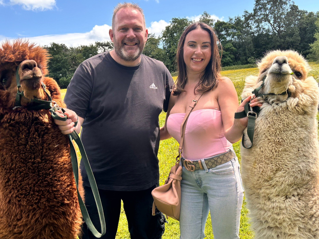 Woodlands Alpaca Farm-沃灵顿必去景点