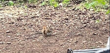 Big Knife Provincial Park-Forestburg必去景点