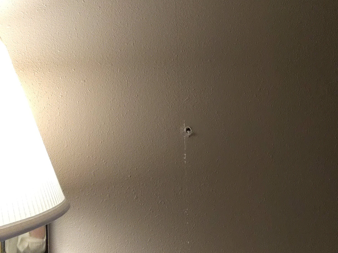 Hot Springs Hotel and Spa主图