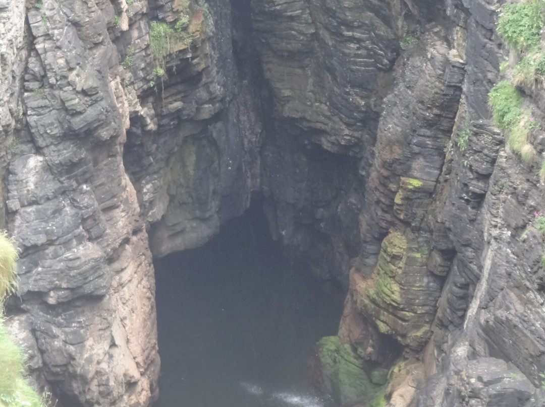 Mull Head Nature Reserve-Deerness必去景点