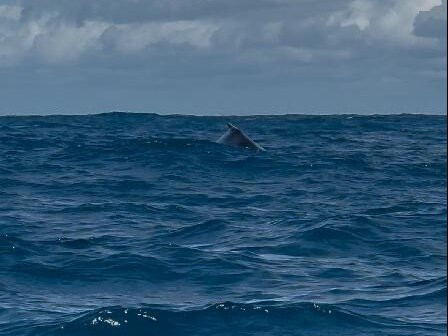 Ecosul Turismo-Ilheus必去景点