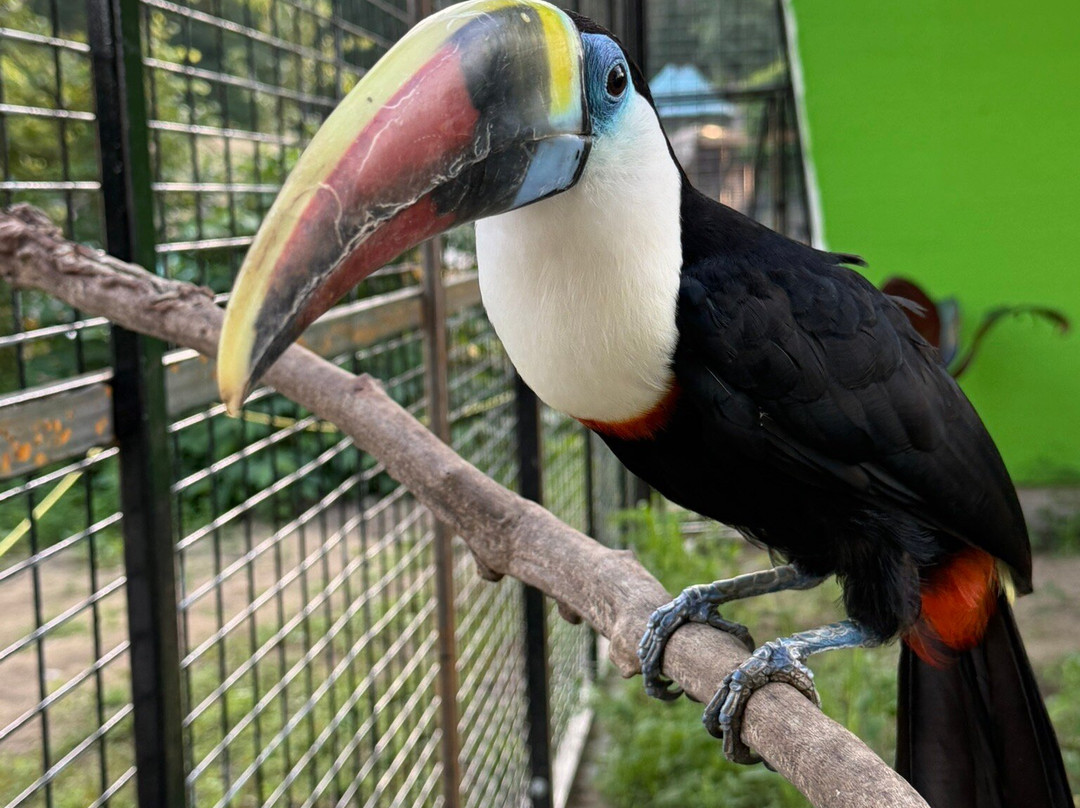 Indian Creek Zoo-Lambertville必去景点