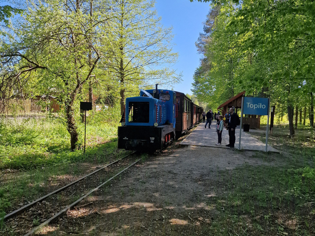 Narrow Gauge Forest Railways-Hajnowka必去景点