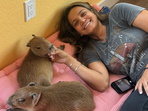 Happy Capys Capybara Experiences-恩格尔伍德必去景点