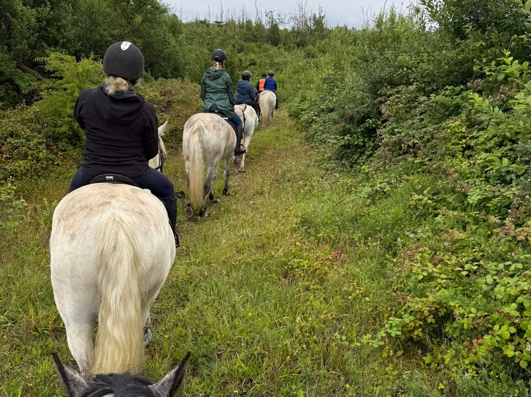Connemara Equestrian Escapes-Moycullen必去景点