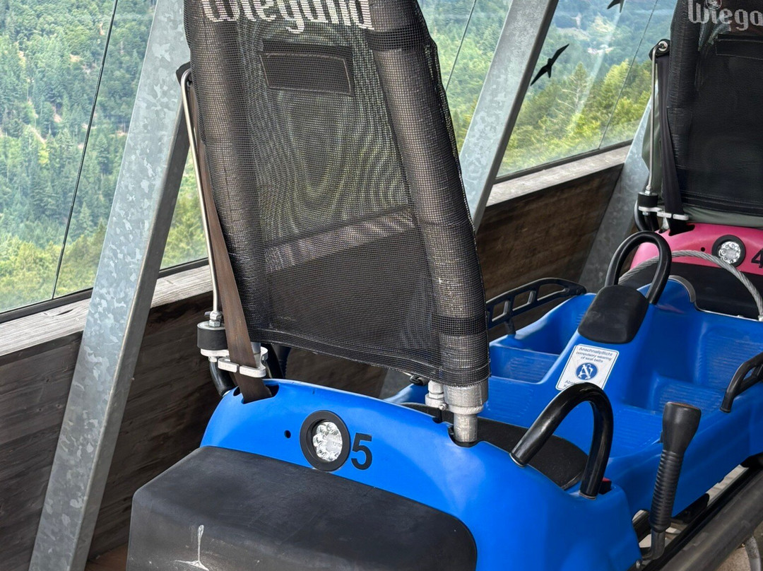 Hasenhorn Coaster Todtnau-托特瑙必去景点