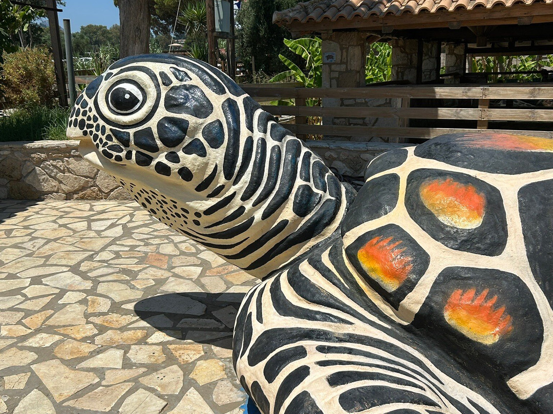 Zakynthos Turtle Rescue Center-瓦西里科斯必去景点