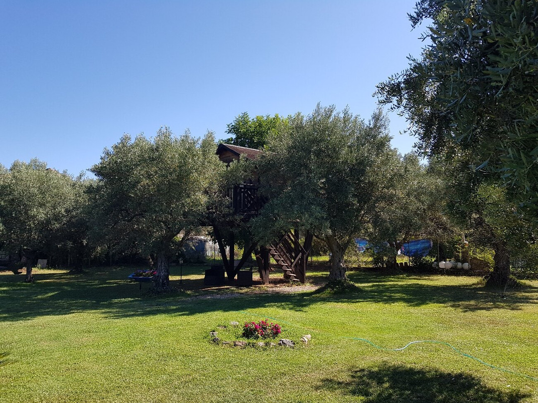 Palazzo Conforti主图