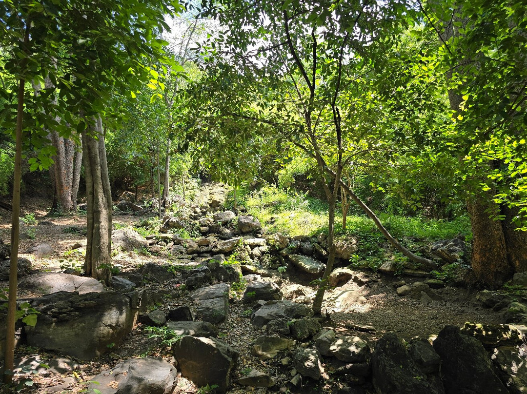 Phu Muang Forest Park-乌通必去景点