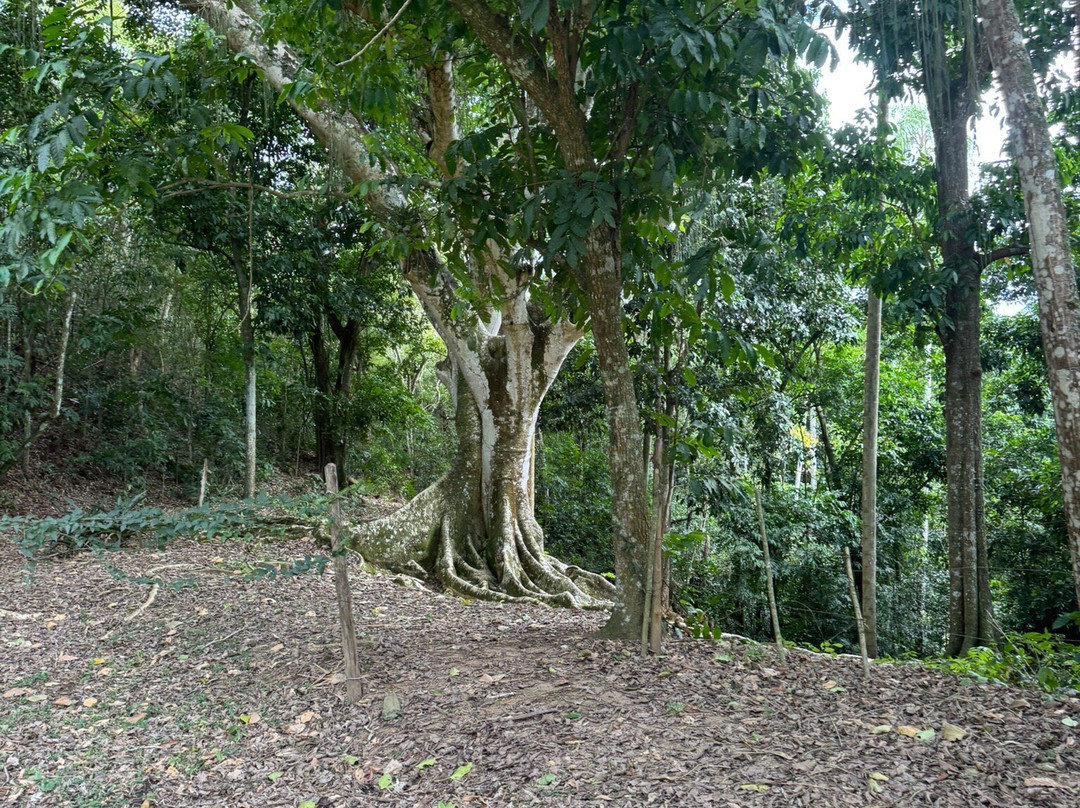 Fazenda Santa Eufrasia-Vassouras必去景点