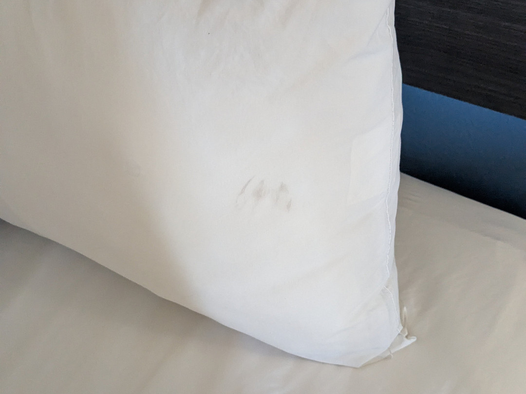 La Quinta Inn by Wyndham El Paso East Lomaland主图