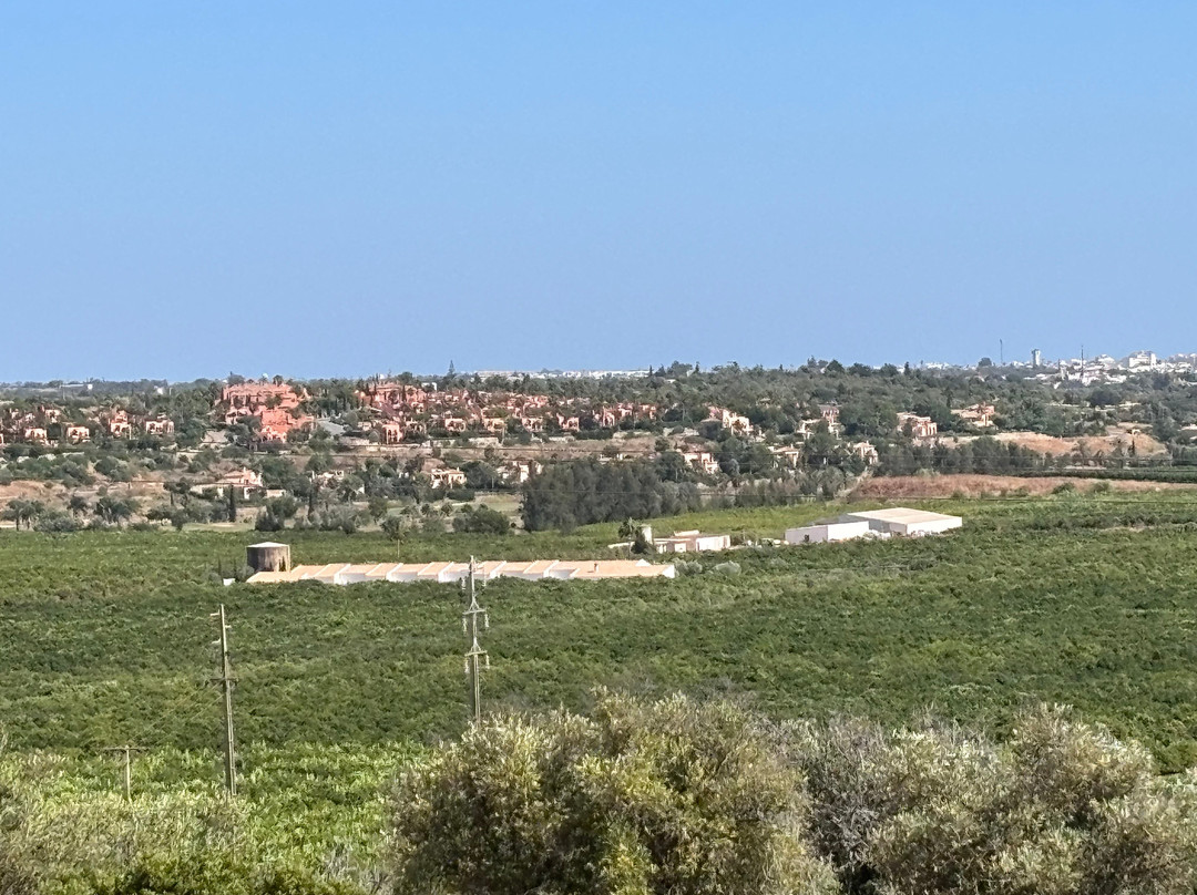 Rufino Quinta