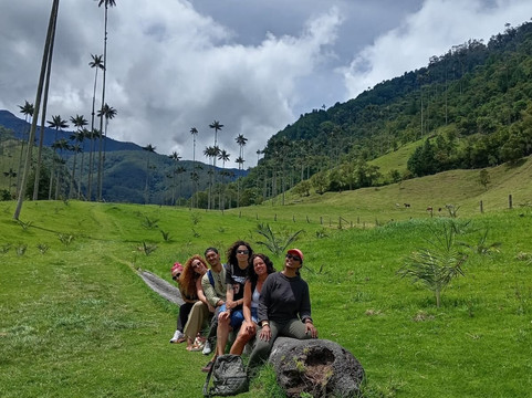 Escuela Aves de Salento-萨伦托必去景点