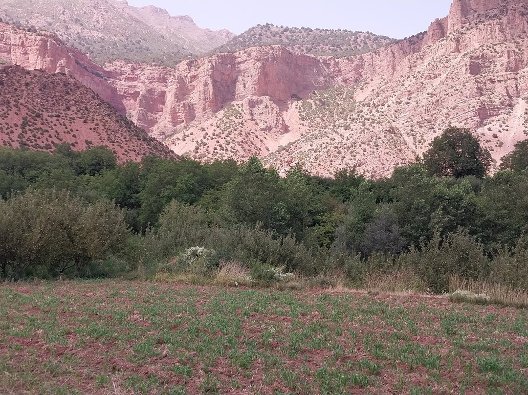 Maison D'hotes Dar Afra主图