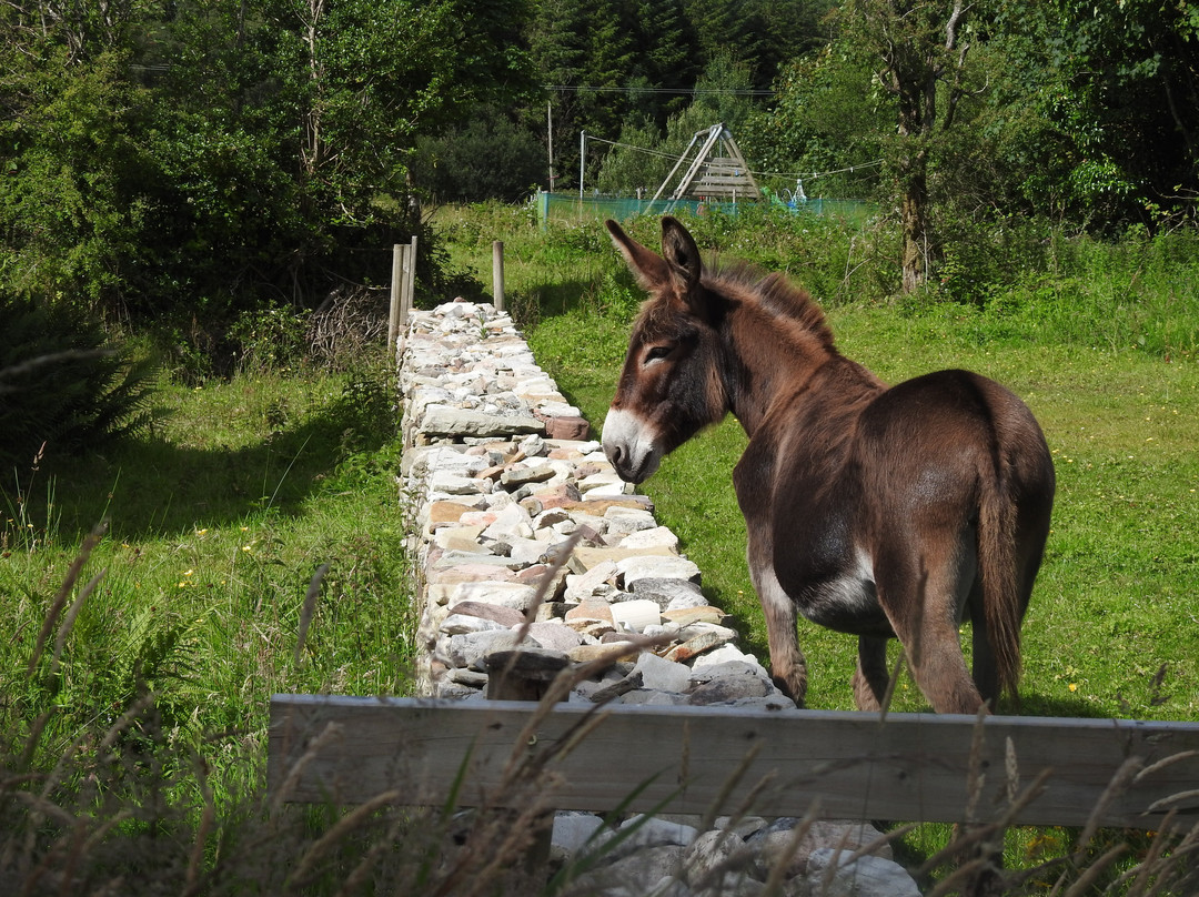 Ireland West Farm Stay-Charlestown必去景点