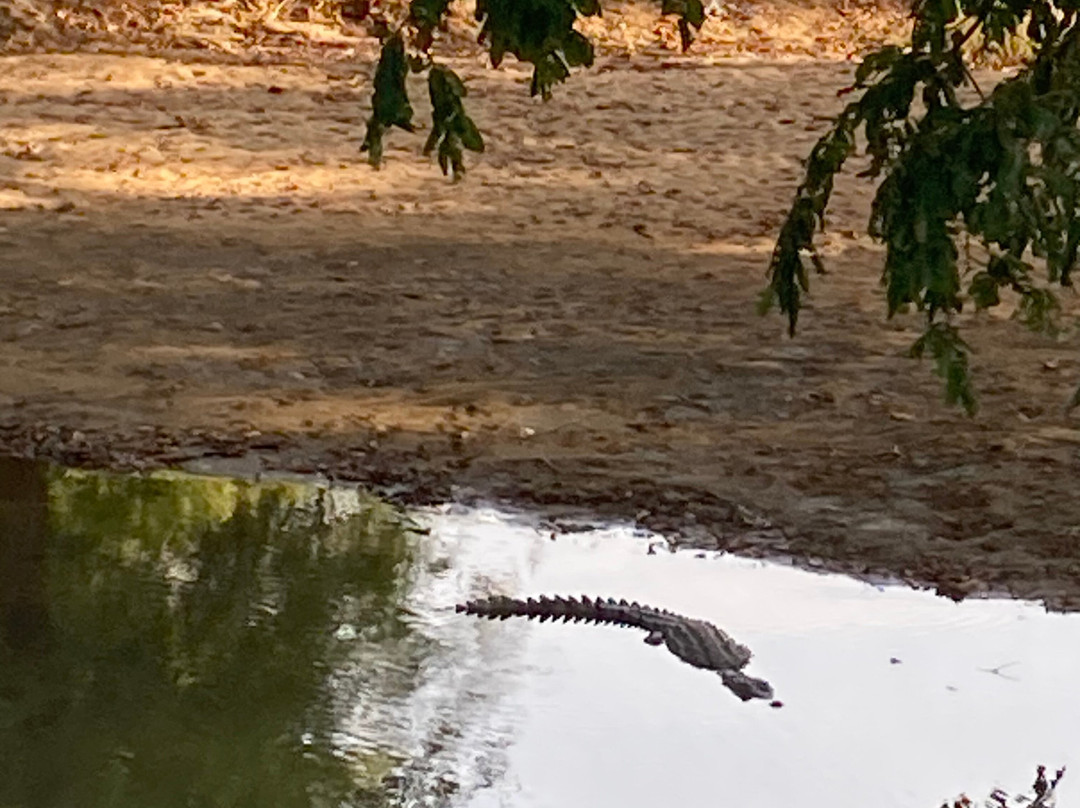 Nilaveli Taxi & Tuk Tuk-Trincomalee必去景点