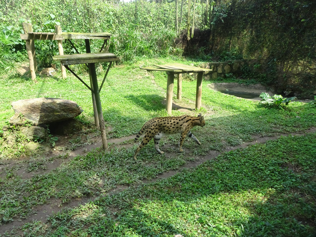 Entebbe Zoo-恩德培必去景点