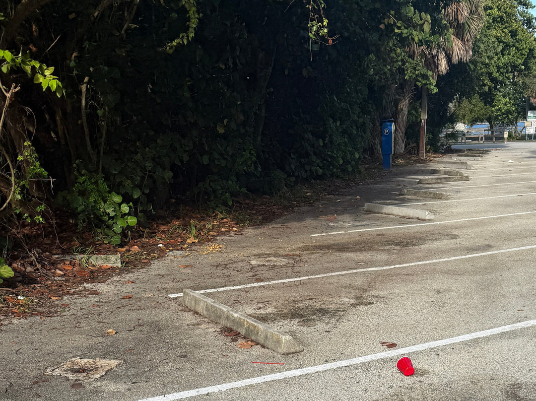 Dog Park-好莱坞必去景点