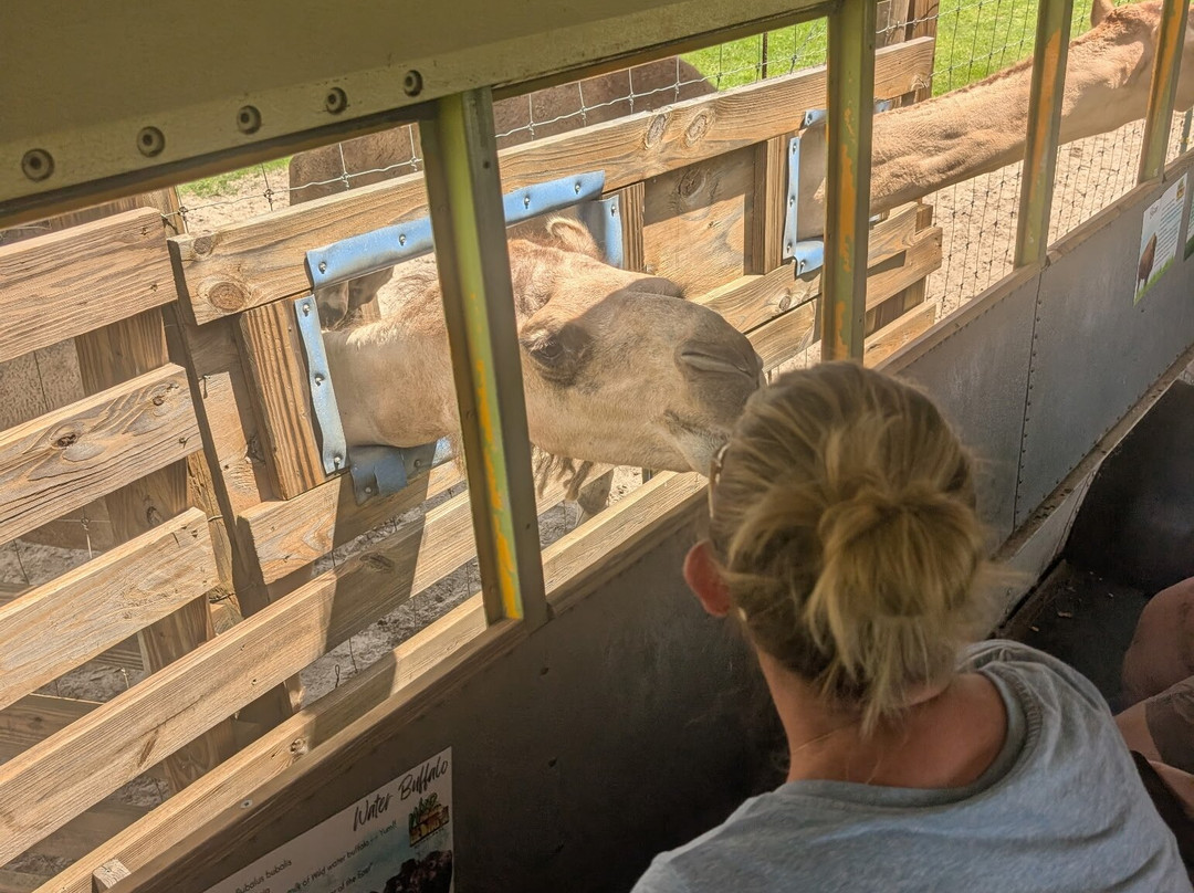 Wild Georgia Safari Park-Metter必去景点