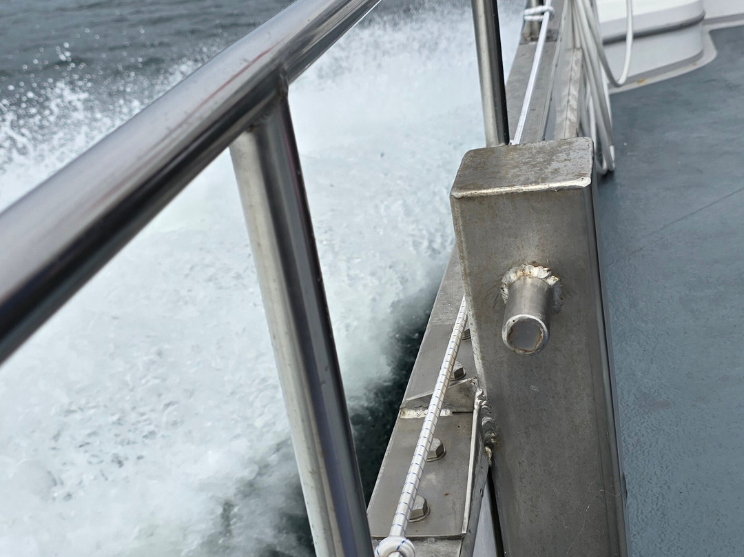 Sealife Adventures-Isle of Seil必去景点