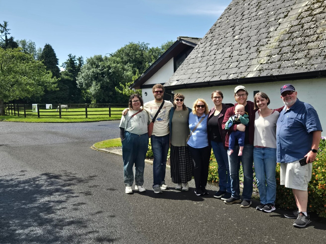 Bronze & Boru-利默里克必去景点