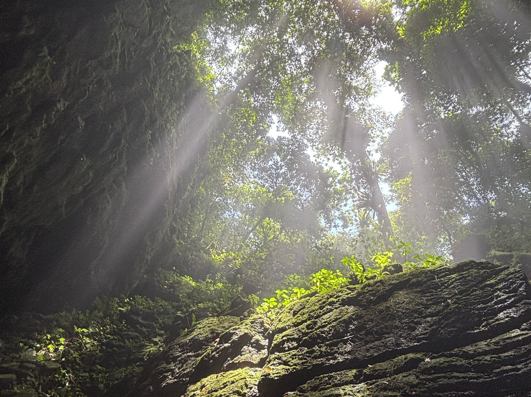 Son Doong Cave-峰牙－己榜国家公园必去景点