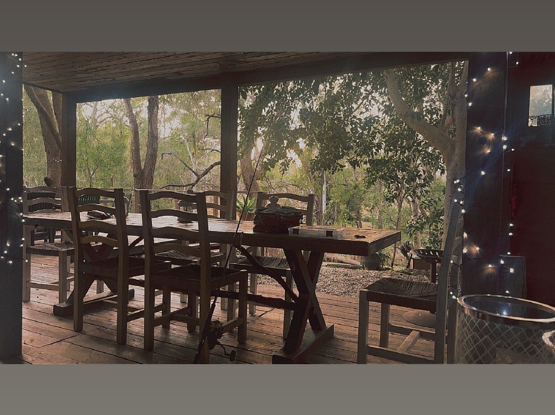 Laurels of Chinchilla主图