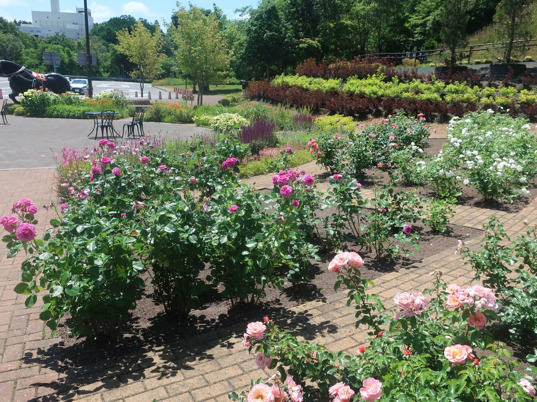 Iwamizawa Service Area Outbound-岩见泽市必去景点