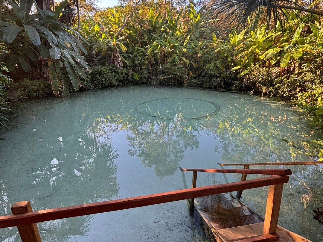 Fervedouro Do Alecrim-Sao Felix do Tocantins必去景点