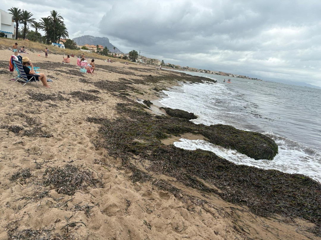 Playa Els Molins-德尼亚必去景点