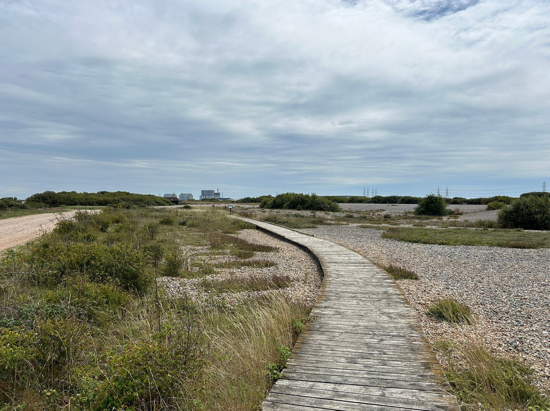 RSPB Dungeness-Dungeness必去景点