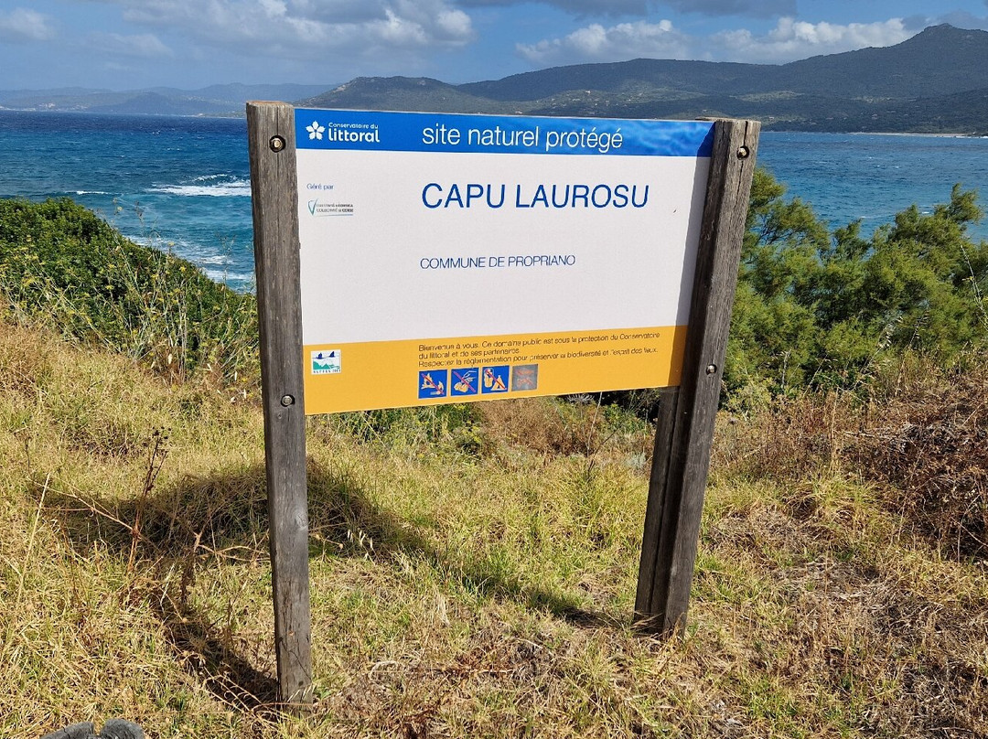 Plage Capu Laurosu-Propriano必去景点