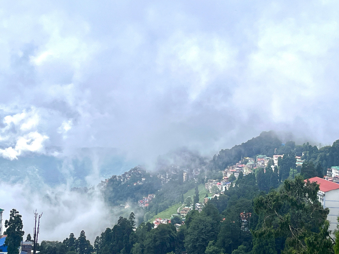 大吉岭辛克莱酒店主图