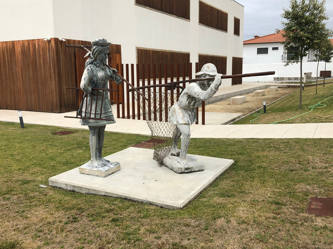 Museu Do Sargaço