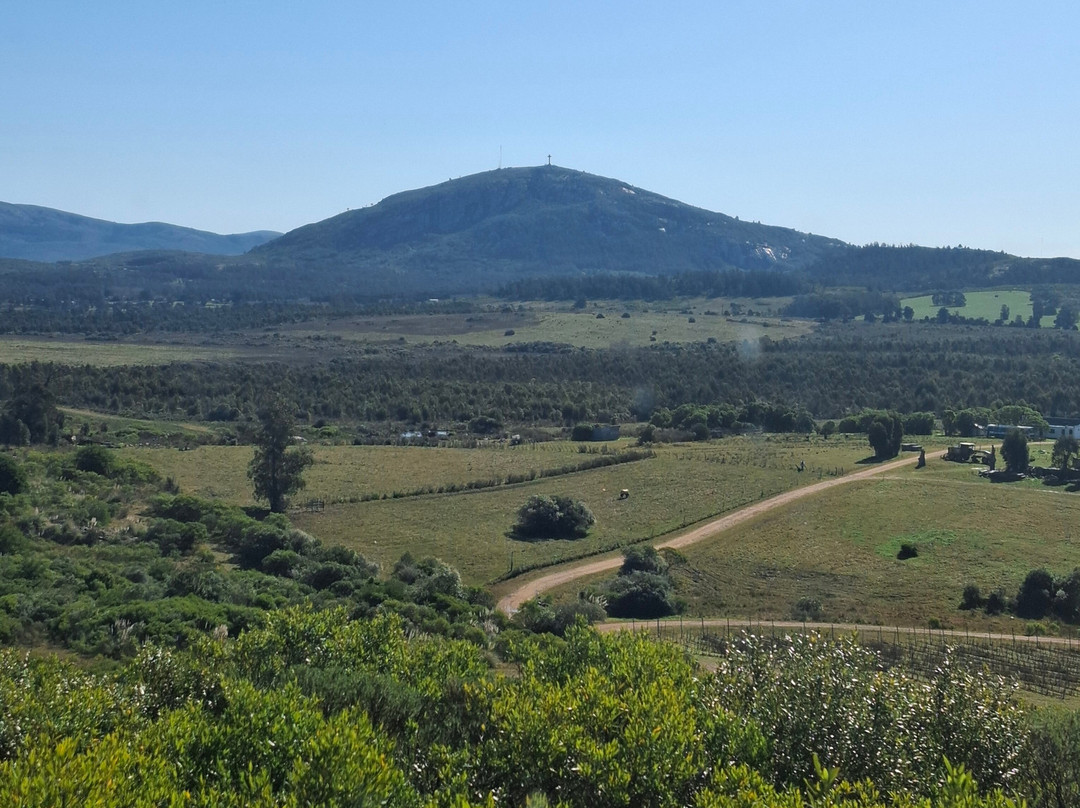 Bodega Cerro del Toro-Piriapolis必去景点