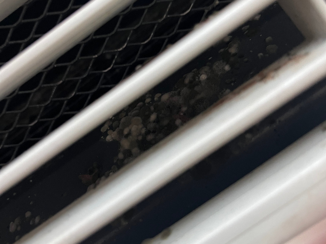 Sleep Inn O'Fallon near I-64主图