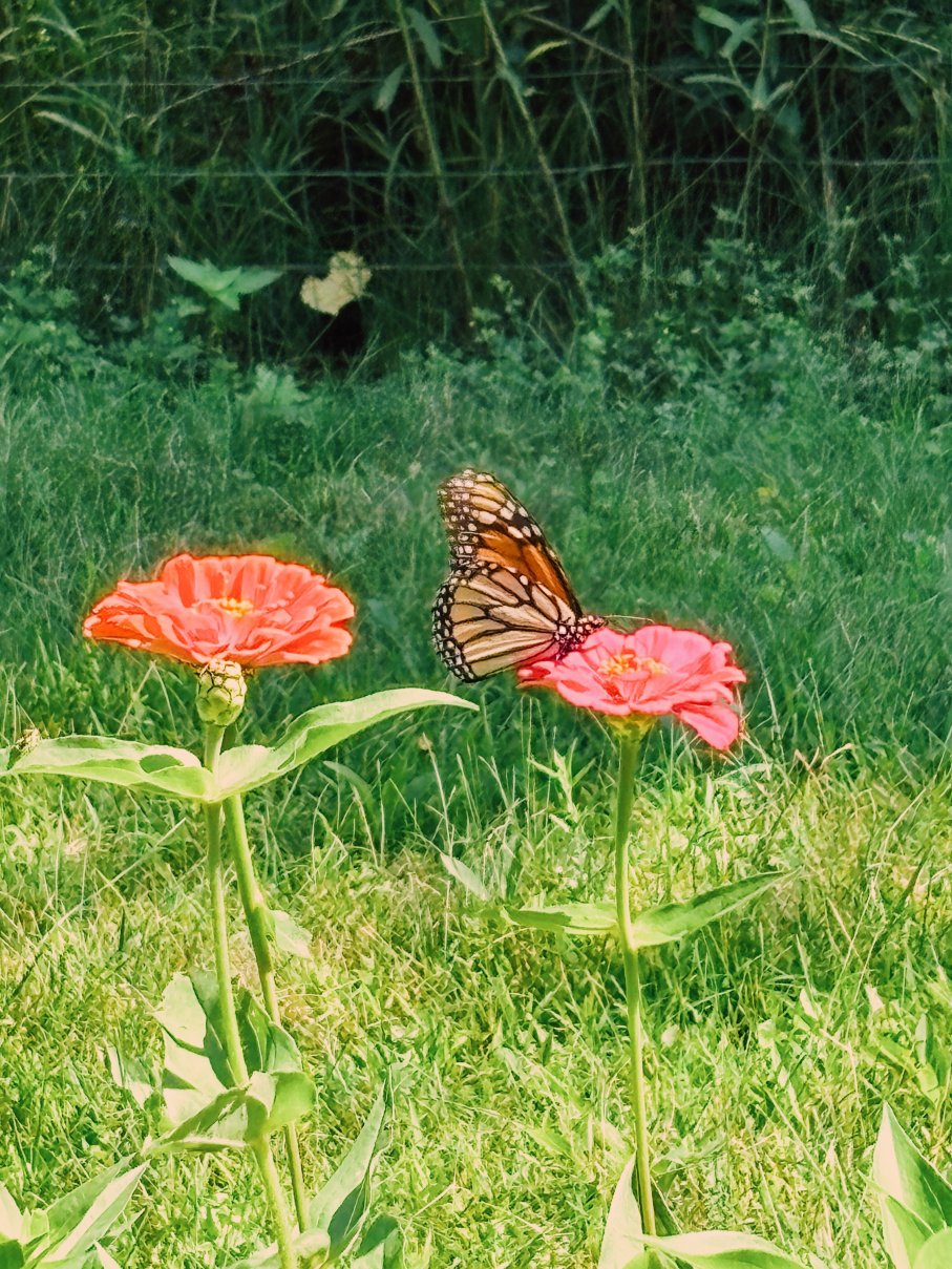 The Cottage at Journey Inn-浴室