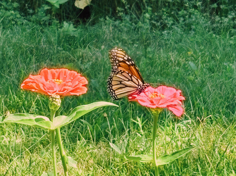 The Cottage at Journey Inn主图