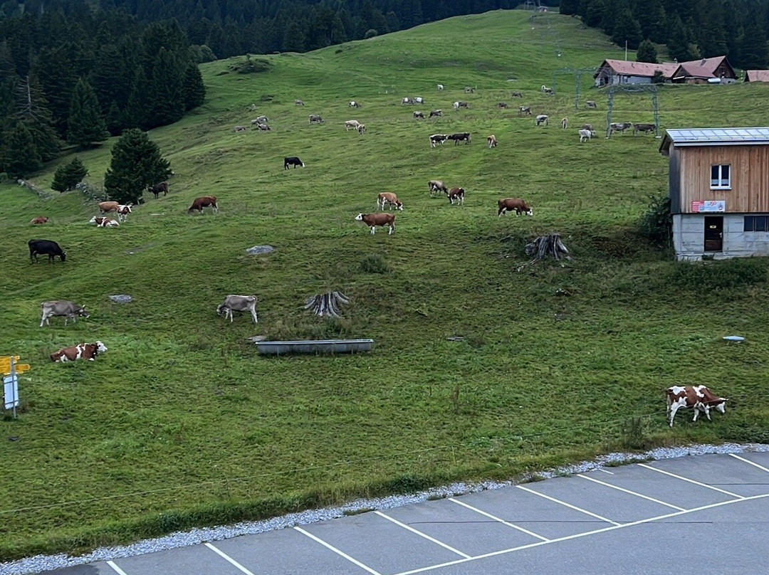 Berghaus Malbun主图