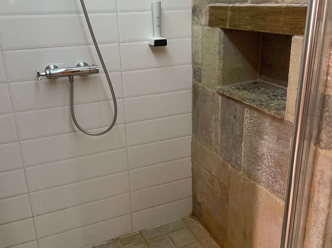 Halasi Pince Panzio主图