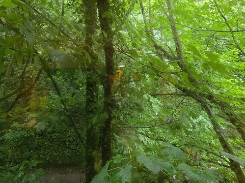 科克城艾萨克斯酒店主图